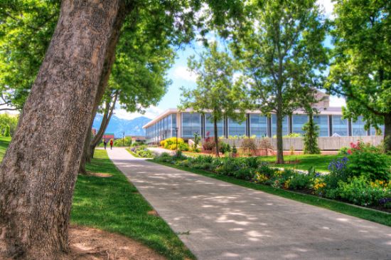 Picture of Mexican cultural traditions: A project-based approach to exploring the humanities and human connection in the classroom