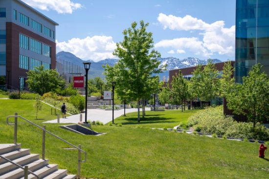 Picture of Survey History of India